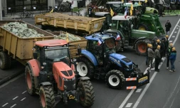 Des agriculteurs de la coordination rurale durant des manifestations contre l'accord UE-Mercosur, à Pessac, en Gironde, le 19 novembre 2024