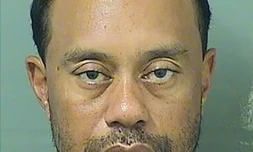 Photo de Tiger Woods après son arrestation, fournie par la police de Palm Beach le 29 mai 2017