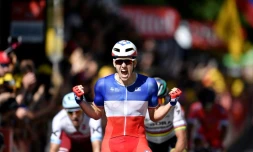 Le champion de France Arnaud Démare (FDJ)  enlève au sprint la 4e étape du Tour de France à Vittel, le 4 juillet 2017