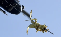 L'archange Saint-Michel au moment de sa dépose du sommet del'abbaye du Mont-Saint-Michel, le 15 mars 2016