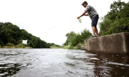 Le bénévole Pat Stirling prélÚve des échantillons dans la riviÚre Wye pour vérifier la qualité de l'eau, le 14 août 2023 à Hay-on-Wye, au Pays de Galles