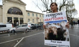 Manifestante réclamant la fermeture des abattoirs, le 23 mars 2017 à Alès