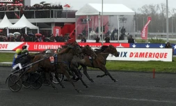 La jument française Bélina Josselyn, numéro 12, drivée par Jean-Michel Bazire, lors du 98e Grand Prix d'Amérique, le 27 janvier 2019