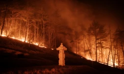 Un incendie de forêt  d'une tombe familiale à Andong le 26 mars 2025