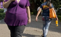 Une personne obèse le 20 mai 2013 à Mexico