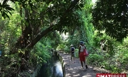Bassins de la ravine Saint Gilles