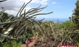 CONSERVATOIRE BOTANIQUE NATIONAL DE MASCARIN SAINT_LEU