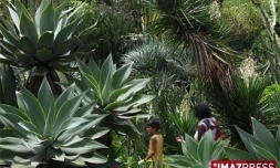 CONSERVATOIRE BOTANIQUE NATIONAL DE MASCARIN  SAINT_LEU
