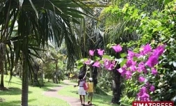 CONSERVATOIRE BOTANIQUE NATIONAL DE MASCARIN  SAINT_LEU