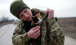 Un soldat ukrainien et son chat à un checkpoint près de Sartana, dans l'est de l'Ukraine, le 29 février 2016