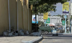 Un véhicule blindé stationne prÚs d'un hÎtel attaqué par des islamistes radicaux Shebab en Somalie, à Mogadiscio le 15 mars 2024