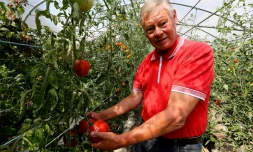L'agriculteur français Jean-Claude Terlet, dans son exploitation de Celles-sur-Aisne, dans le nord de la France, le 17 août 2018
