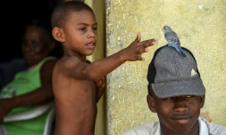 Des enfants jouent dans le quartier de San Francisco à Carthagène, en Colombie, le 23 août 2017