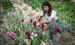 Masami-Charlotte Lavault entretient ses fleurs dans son jardin parisien, le 1er juillet 2020