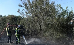 Opération de "noyage" des braises le 11 août 2016 à Les Pennes Mirabeau près de Marseille