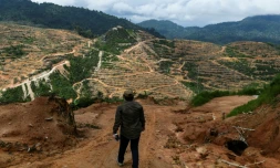 Un employé d'une ONG dans une plantation de durian à Raub, dans la banlieue de Kuala Lumpur, en Malaisie, le 19 décembre 2018