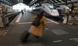 Des TGV à quai le 1er juin 2016 gare de Lyon à Paris