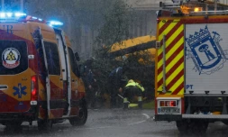Des pompiers autour d'un arbre effondré, le 2 novembre 2023, à Madrid