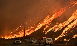 Un flanc de colline en feu à Castaic, au nord de Los Angeles, le 22 janvier 2025 