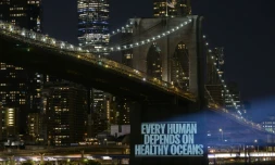 Un message de Greenpeace sur un panneau lumineux appelant à la protection des océans avant la reprise des négociations des Etats membres de l'ONU sur un traité pour protéger la haute mer, le 14 août 2022 à New York 