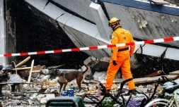 Un pompier, accompagné d'un chien renifleur, fouille les décombres d'un immeuble résidentiel qui s'est effondré après une explosion et un incendie, le 7 décembre 2024 à La Haye, aux Pays-Bas