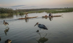 Des pêcheurs partent à l'aube à bord de pirogues traditionnelles sur le lac Dembel, l'un des lacs de la vallée du Rift central en Éthiopie, longtemps touché par la surexploitation et la pollution, le 20 mai 2025 à Batu 