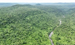 Vue aérienne du parc national des Cardamomes, dans la province de Koh Kong, le 11 juin 2026 au Cambodge