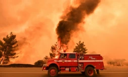 Des pompiers luttent contre un incendie près de Clearlake Oaks, le 1er juillet 2018 en Californie