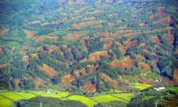 Glissements de terrain et disparus après un fort séisme à Hokkaido