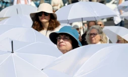 Manifestation des proches des otages israéliens retenus à Gaza à Tel Aviv le 31 janvier 2025 