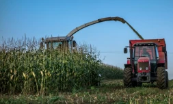 Les cultures OGM ne présentent pas plus de risques environnementaux et pour la santé que les récoltes conventionnelles, conclut un nouveau rapport de l'Académie américaine des sciences