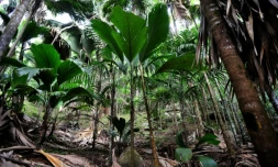 Le parquet de Nancy a ouvert une information judiciaire pour agression sexuelle à l'encontre d'un candidat de l'émission Koh Lanta après la plainte déposée par une participante