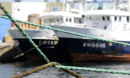 Des chalutiers dans le port de Vigo au Portugal, le 13 juin 2008