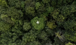 Vue aérienne d'un drone prenant des photos au-dessus d'une zone reboisée à Chiang Mai, le 22 novembre 2023 en Thaïlande