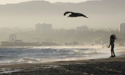 La plage Venice, en Californie, avait été fermée pour le long week-end du 4 juillet, fête nationale américaine. Photo prise le 3 juillet 2020 