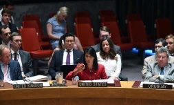La représentante des Etats-Unis à l'ONU Nikki Haley (c), le 5 juillet 2017 à New York