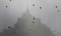 Des oiseaux devant le Mont Saint-Michel (Manche), le 30 décembre 2022