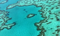 Vue aérienne de la grande barrière de corail australienne, le 20 novembre 2014