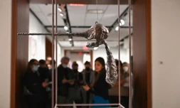 "Le Nez" d'Alberto Giacometti, dans les locaux de la maison d'enchères Sotheby's, le 5 novembre 2021 à New York