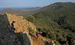 Deux randonneurs parcourent la forêt de Massane le 30 juillet 2021