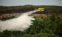 Un Air Tractor effectue un largage d'eau au Porge, le 31 juillet 2026