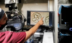 Dans une clinique de médecine reproductive à Johannesburg, en Afrique du Sud, en février 2022