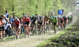 Le peloton roule sur une portion pavée, lors de la 115e édition de Paris-Roubaix, le 9 avril 2017