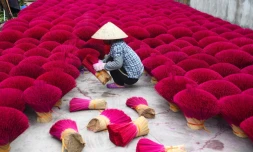 Collecte des bâtons d'encens séchés à l'approche du Nouvel an lunaire, à Quang Phu Cau près de Hanoï le 12 janvier 2022
