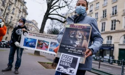 Des membres du Parti animaliste et d'associations comme One voice et L214 manifestent le 26 janvier 2021 prÚs de l'Assemblée nationale à Paris