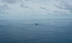 Average sea surface temperatures were 20.97C in March, the second-highest ever for the month