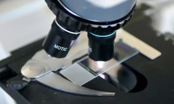 In recent years doctors have turned to a new treatment for cancer, immunotherapy, which works by leveraging the body's own immune system to fight tumours