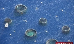 Ferme aquacole au large de Saint-Paul