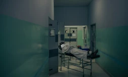 L'épidémie de mpox a fait 548 morts en RDC depuis le début de l'année et touche désormais toutes les provinces de ce pays d'environ 100 millions d'habitants