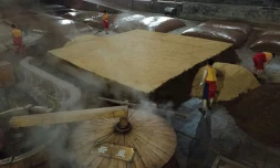 Des employés mélangent une purée de céréales dans des cuves en terre pour la fabrication du baijiu, le 24 avril 2019 dans une distillerie à Luzhou, dans la province chinoise du Sichuan